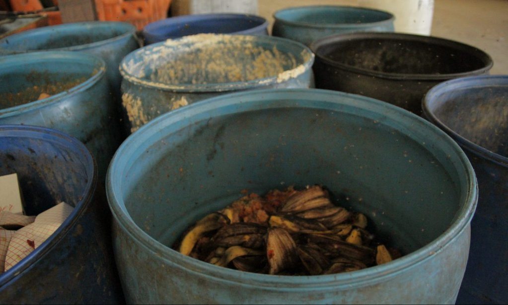 Barrels at a composting way-station