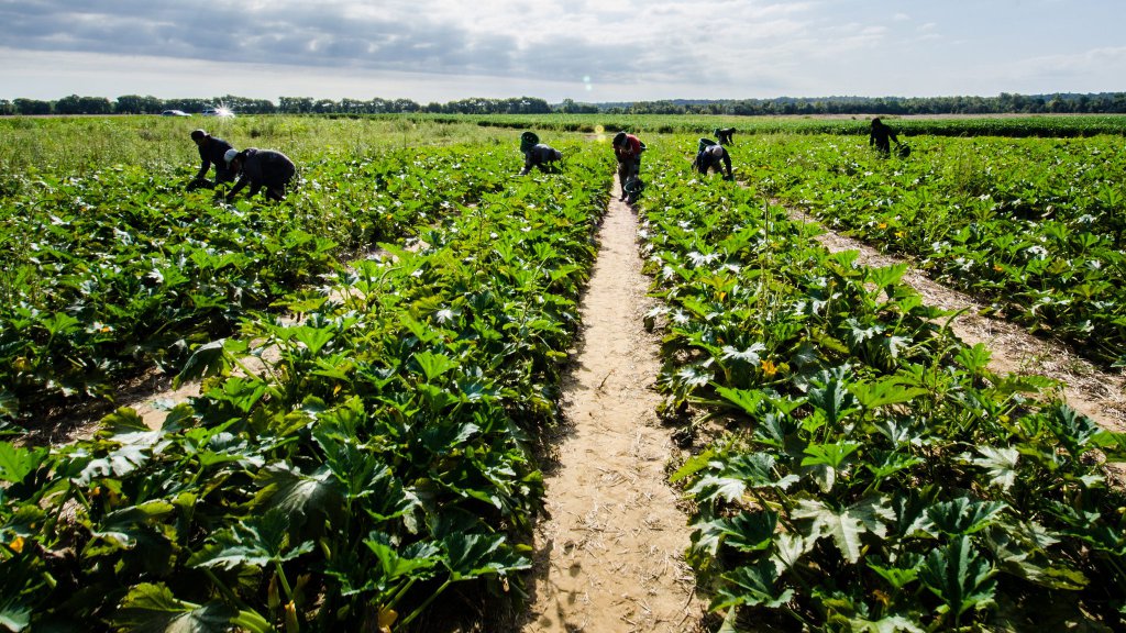 Farmworkers are fighting for collective bargaining rights