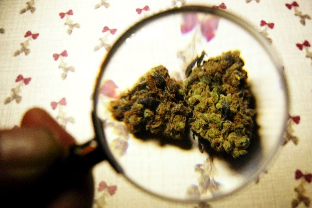 Colorado law aims to prevent children from consuming marijuana