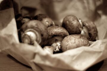 The CIA suggest using mushrooms in 