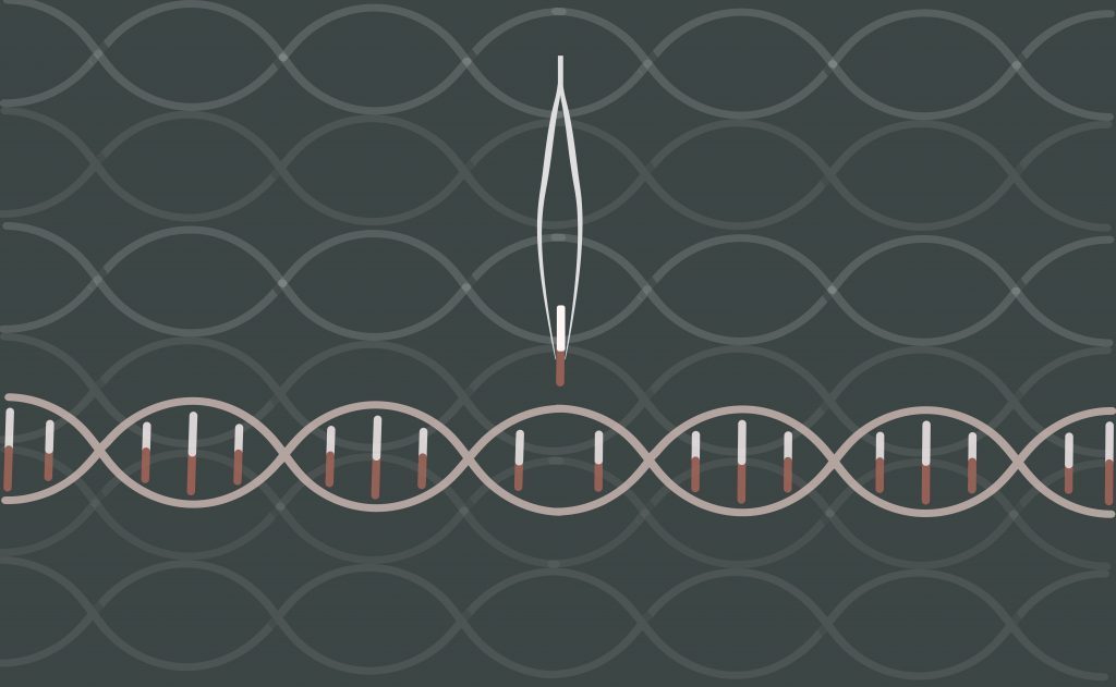 New tech allows scientists to precisely edit genes