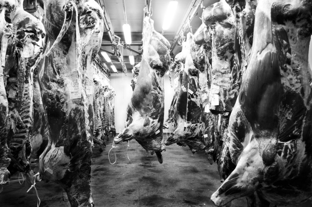 What can the Rancho scandal teach us about slaughterhouse regulation?