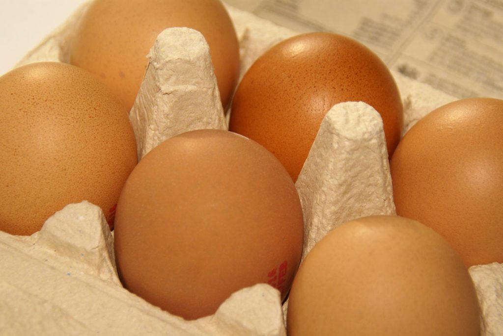 Egg-laying hens were one subject of California's Proposition 2