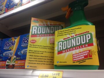 Roundup weed killer glyphosate