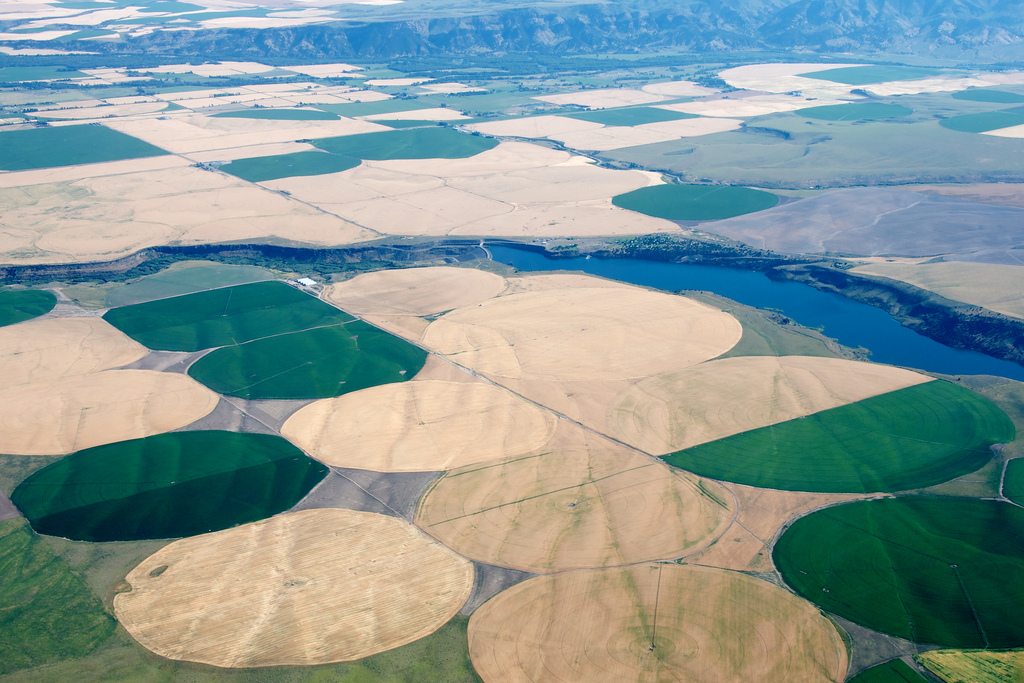 Foreign ownership of American farmland