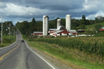 Why farmers are dumping milk while grocery stores report dairy shortages