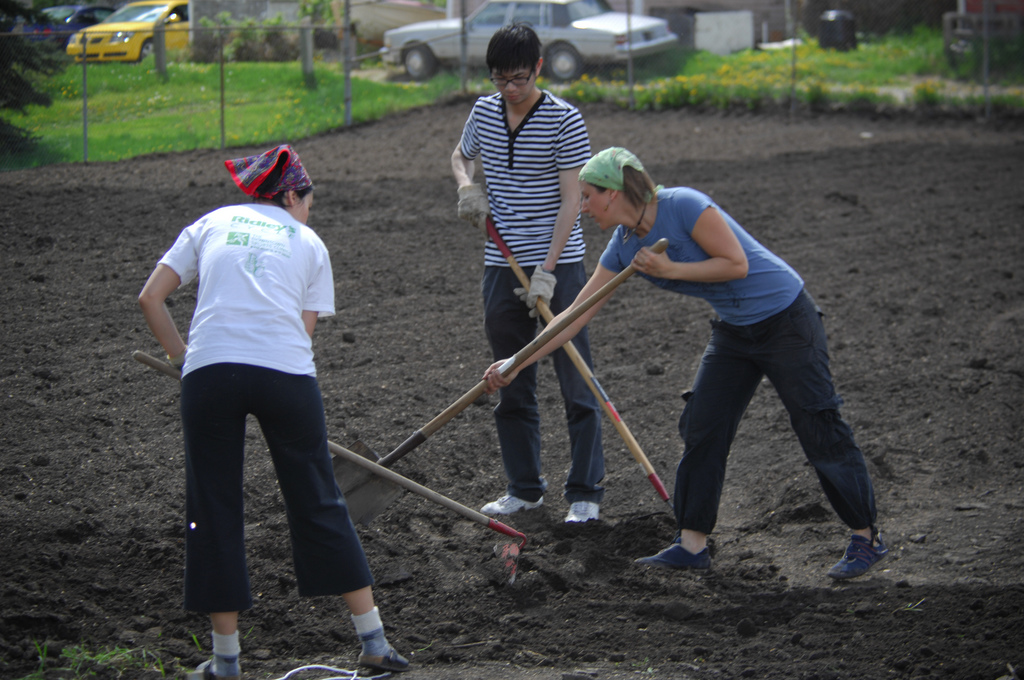 community gardeners at work on the field