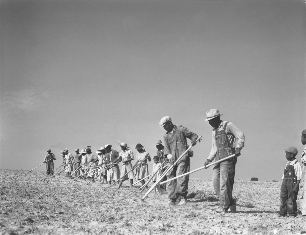 black farmers tending to land in 1940