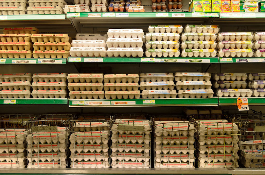 Eggs on a shelf at a grocery store
