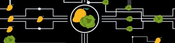 Graphic of a motherboard, with mangos and romaine lettuce.