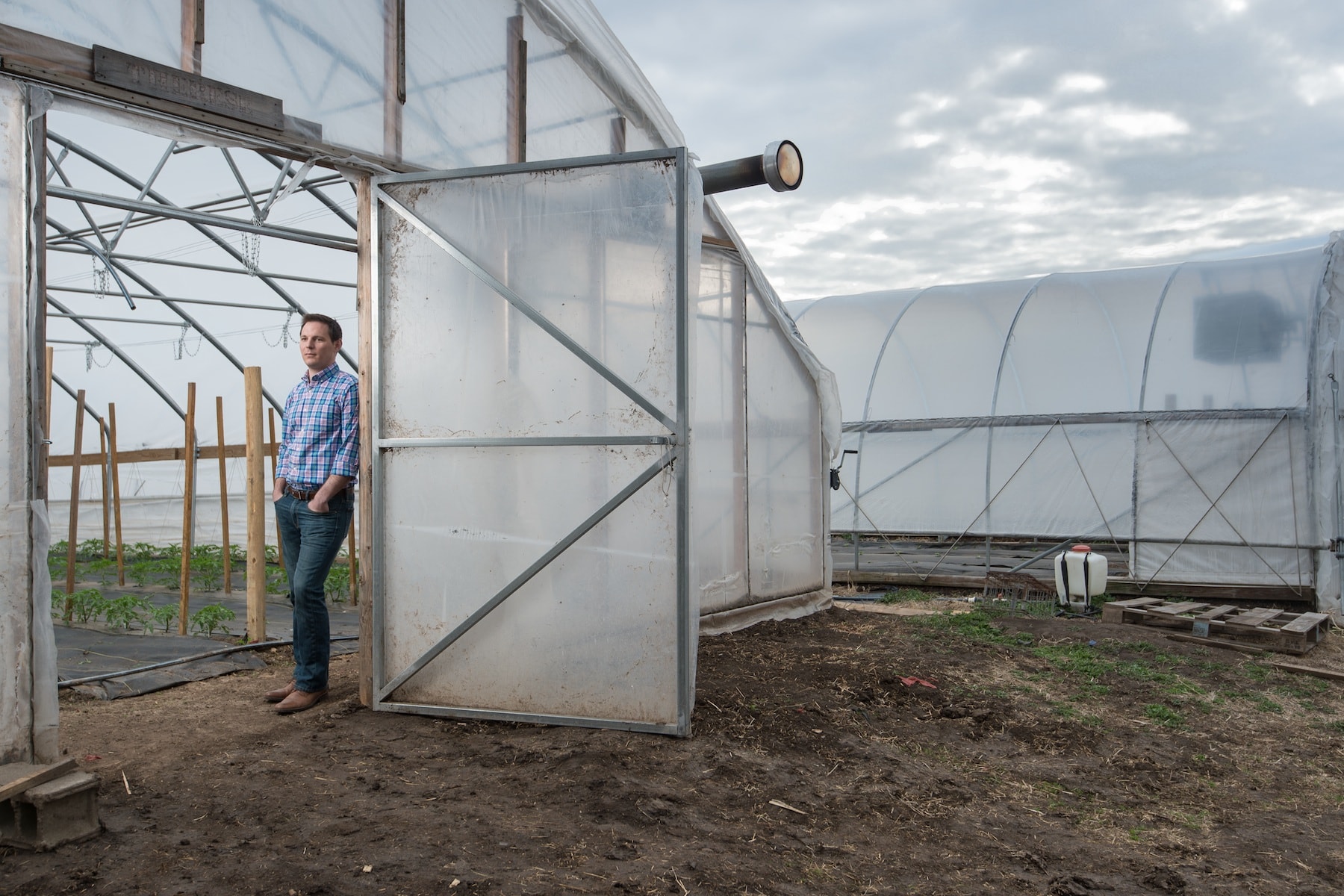 Luke Mahin standing in the door frame of a hoop farm where tomatoes are being grown. As economic development director for Courtland, Kansas, Mahin has helped provide resources to farmers to produce these projects