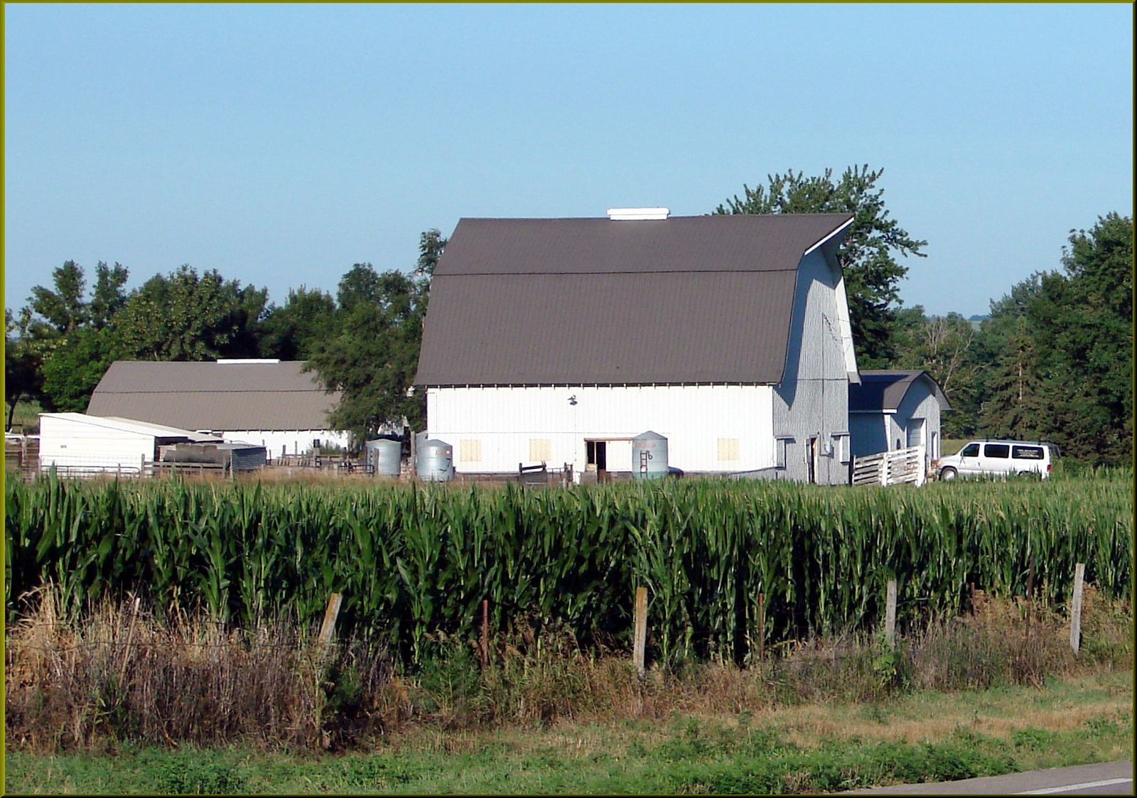 a white barnhouse sits on a farm in Iowa