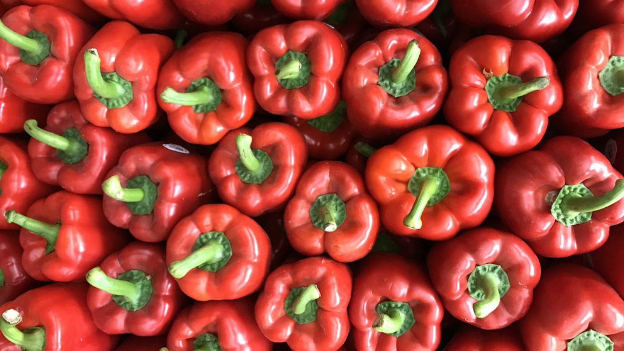 This Washington farmer wants you to know why your organic red peppers are  so expensive