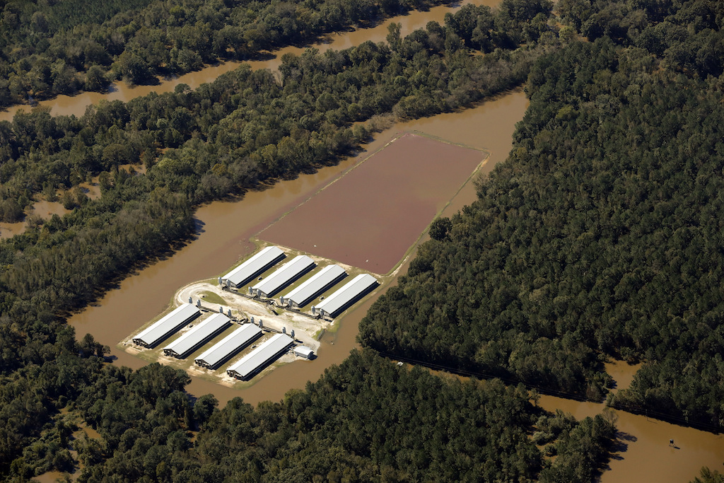 A CAFO operation in North Carolina surrounded by a waterway