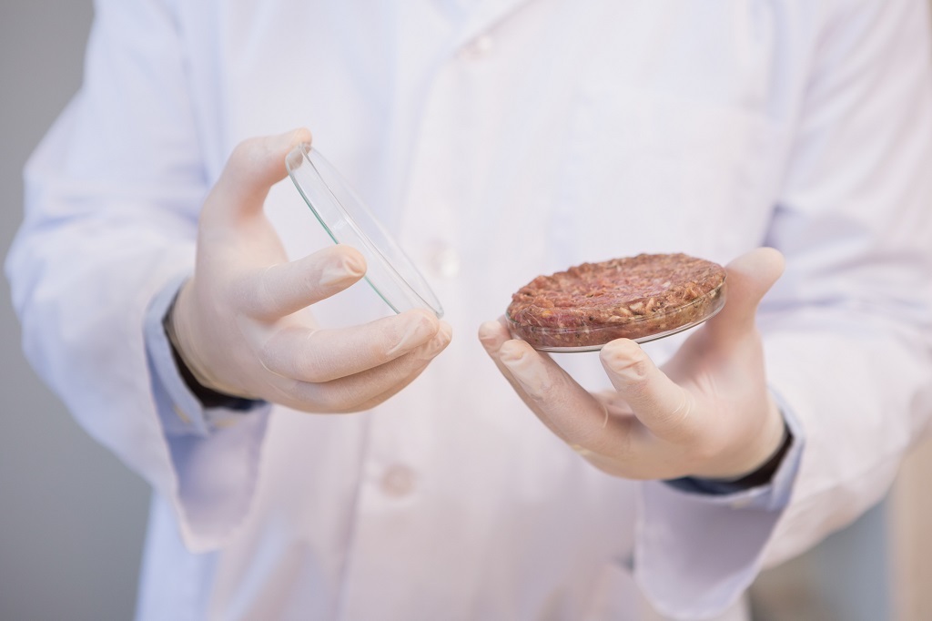 Scientist examining beefsteak in petri dish in the laboratory