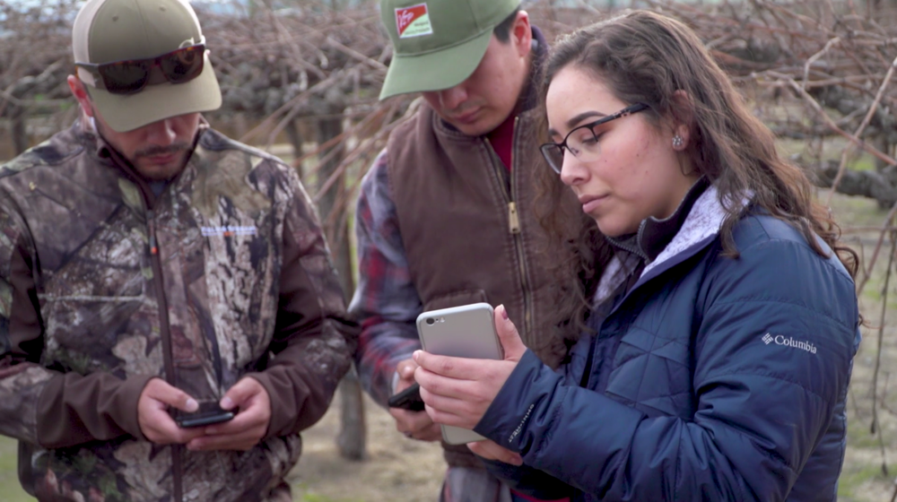 Rivka Garcia shows her phone to two men in a farm