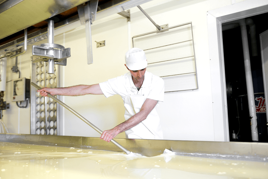 In the process of making cheese, producers are left with a whole lot of whey, which is the watery liquid you've probably seen floating in new containers of yogurt. All that whey has to go somewhere—but where? Credit: Uplands Cheese, August 2018