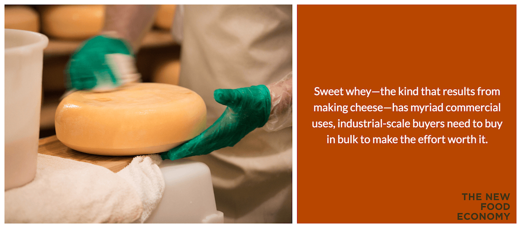 Some small cheese producers feed whey to animals or spread it on their fields. However, applying too much whey to fields can pollute waterways. Credit: Uplands Cheese