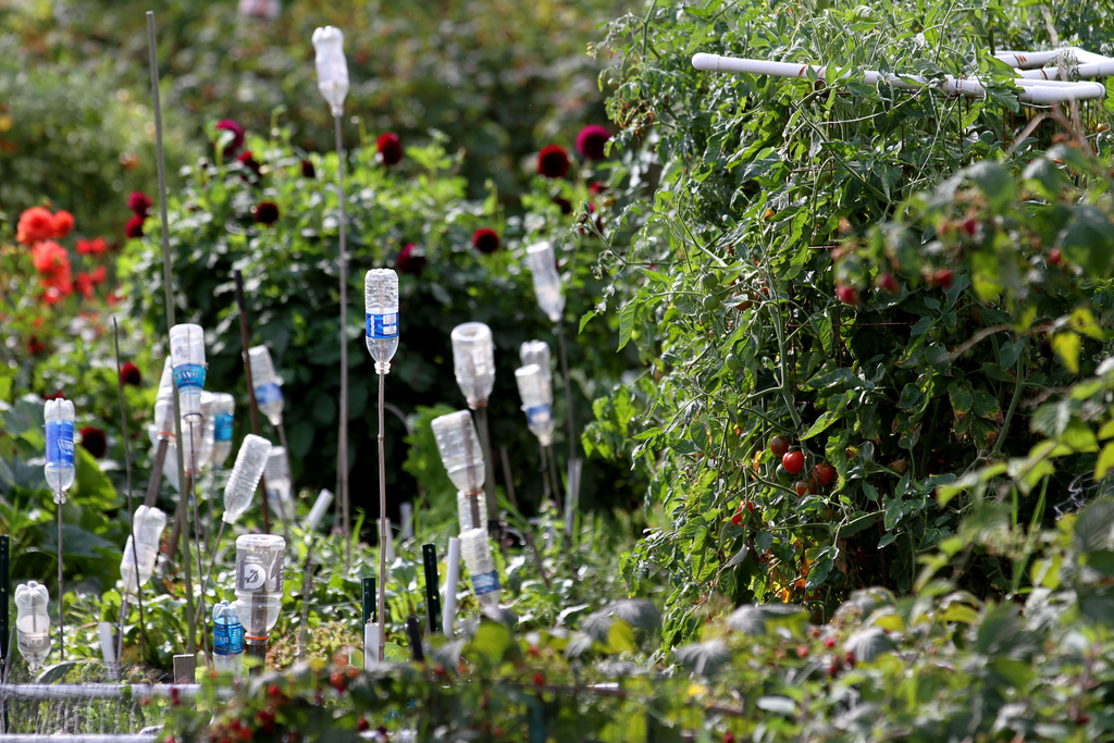 community garden with hanging bottles
