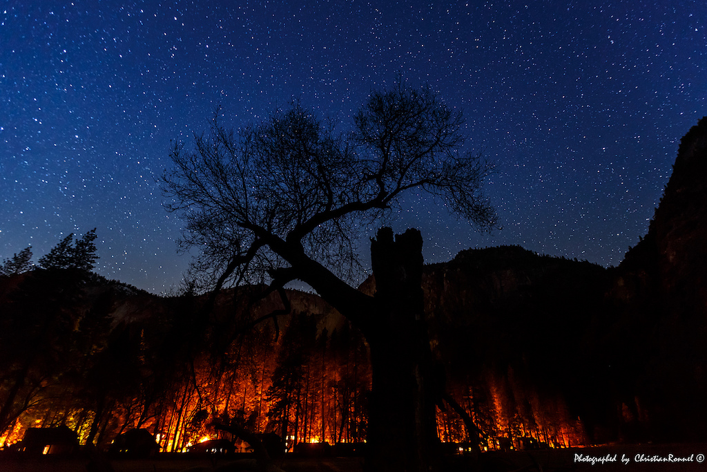 forest with lights from village behind it and stars above