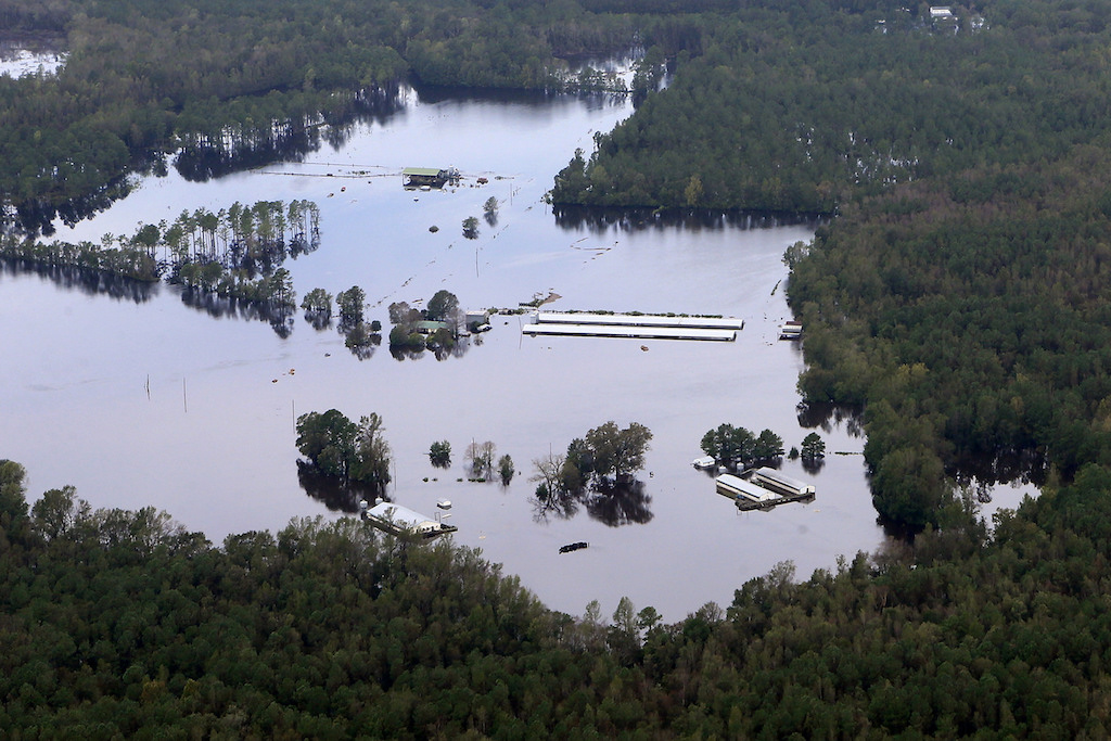 Farms in North Carolina are taking stock of Hurricane Florence's damage to their operations. Credit: Waterkeeper Alliance, September 2018