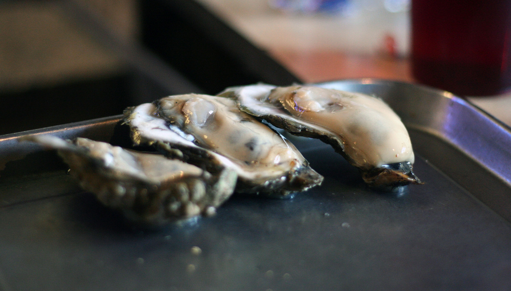 Hurricanes and water wars threaten the Gulf Coast’s new high-end oyster industry. Credit: Flickr / donireewalker, November 2018