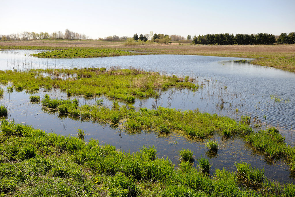 What makes a wetland? Depends on who’s drawing the map. Credit: Flickr / USDA, January 2019