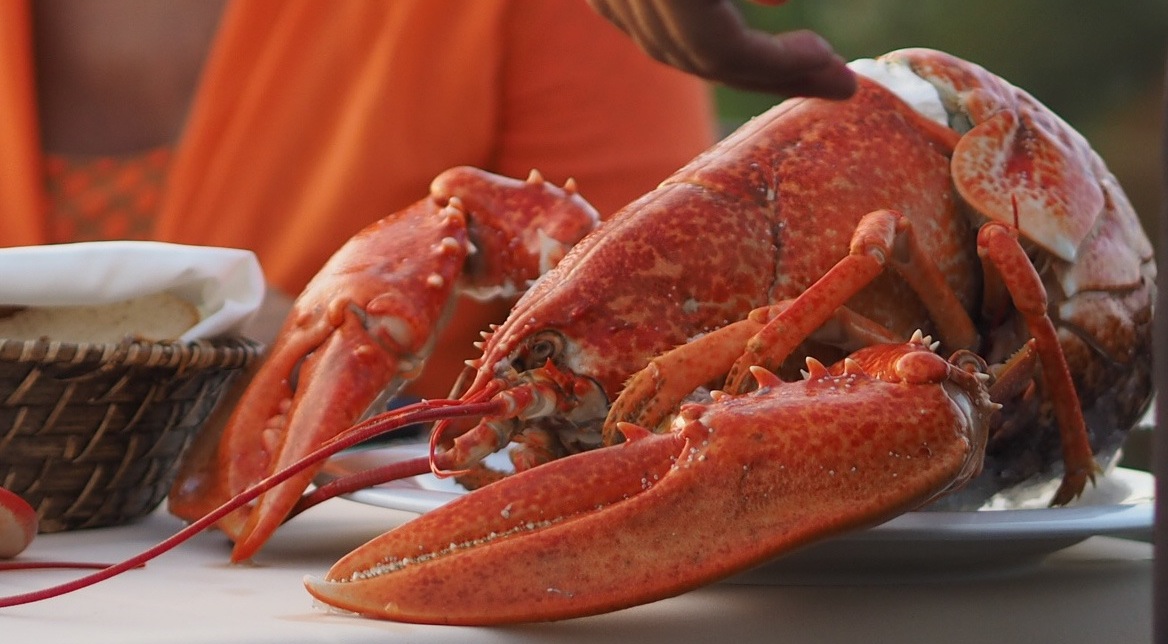 Trump's trade war pinches lobster dealers in America. Credit: Flickr / Farrukh, February 2019