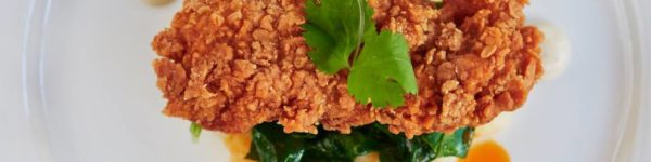 FDA and USDA agree on framework for regulating cell-cultured meat. Credit: Memphis Meats, March 2019