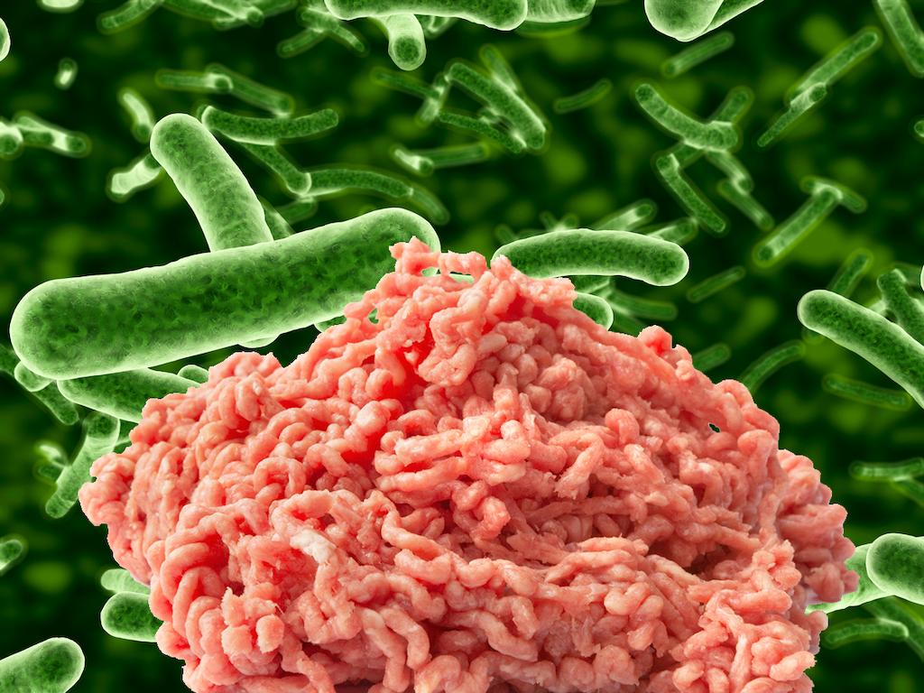 E. coli linked to ground beef sickens more than 100 New Food Economy