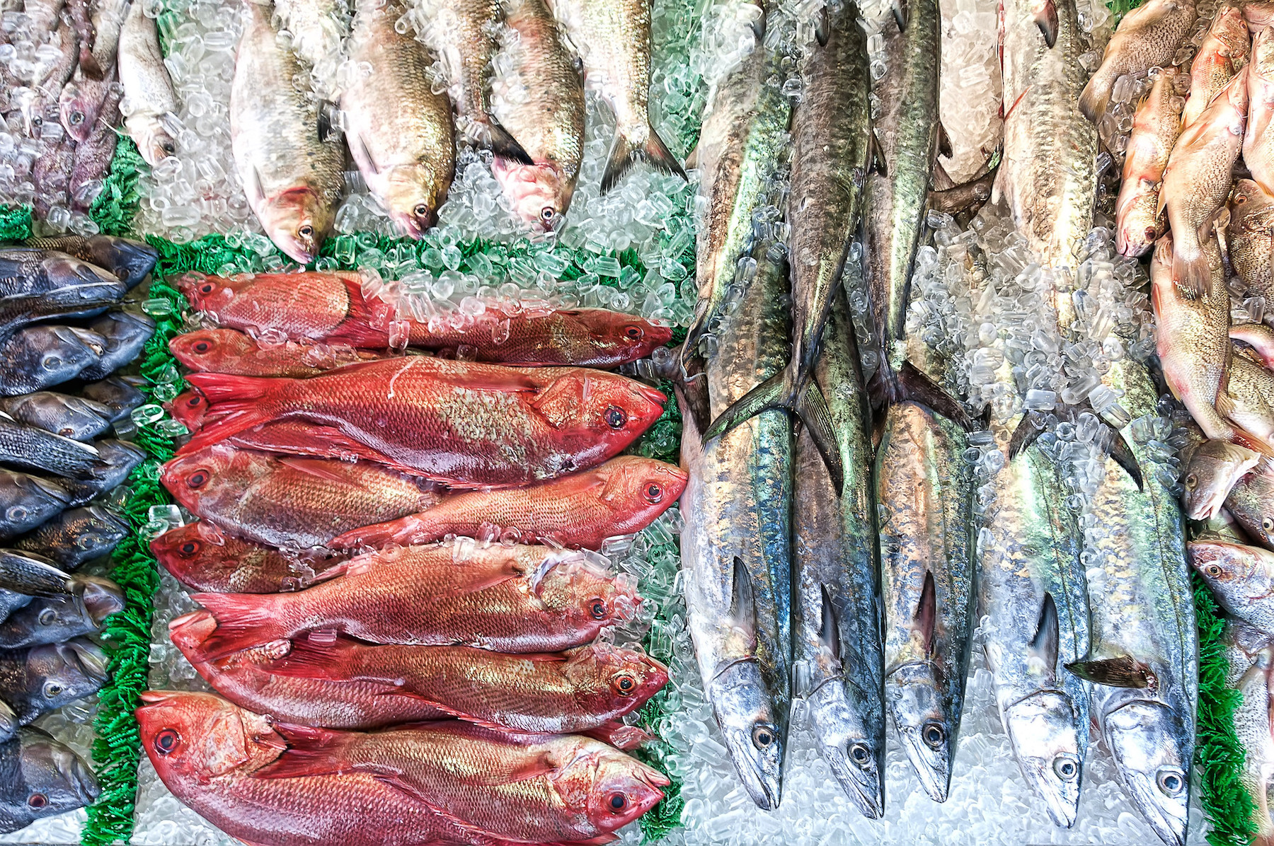 Hard to eat local when it comes to fresh seafood (May 2019)