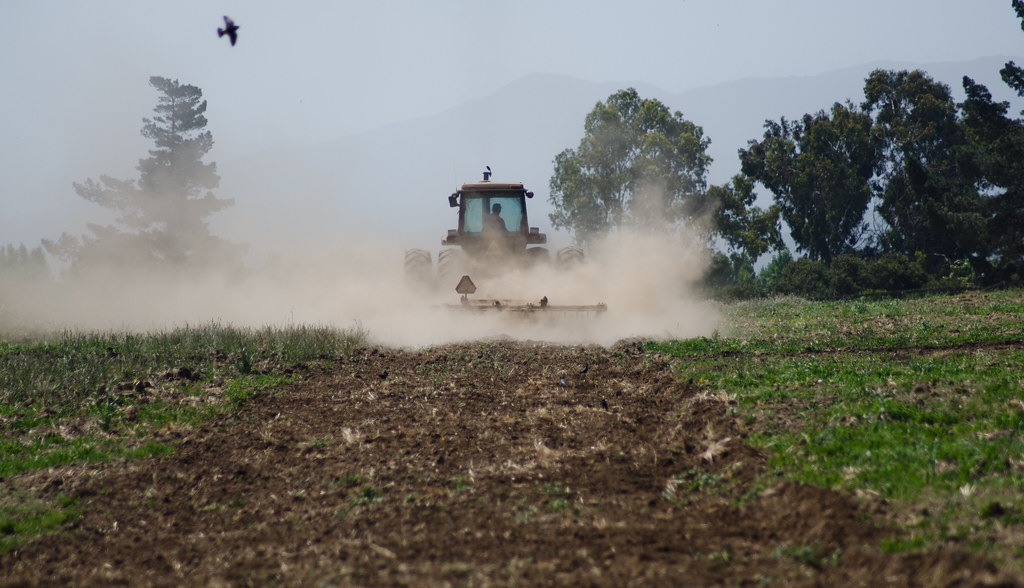 A tractor turns the cover crop into the soil in preperation for planting at Leafy Greens, in the Salinas Valley of California.