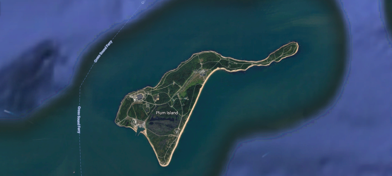 A satellite photo of Plum Island
