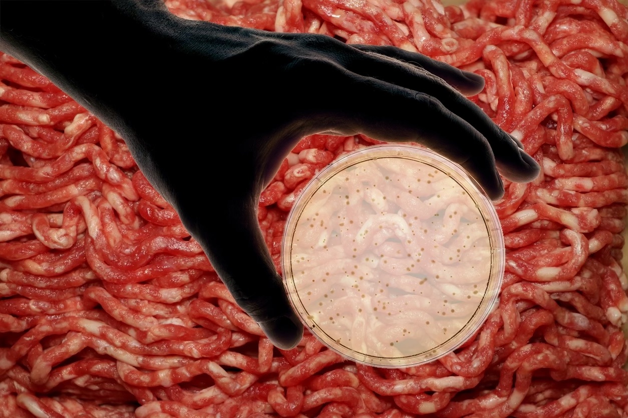 A petri dish containing E. coli atop a close-up of minced meat.