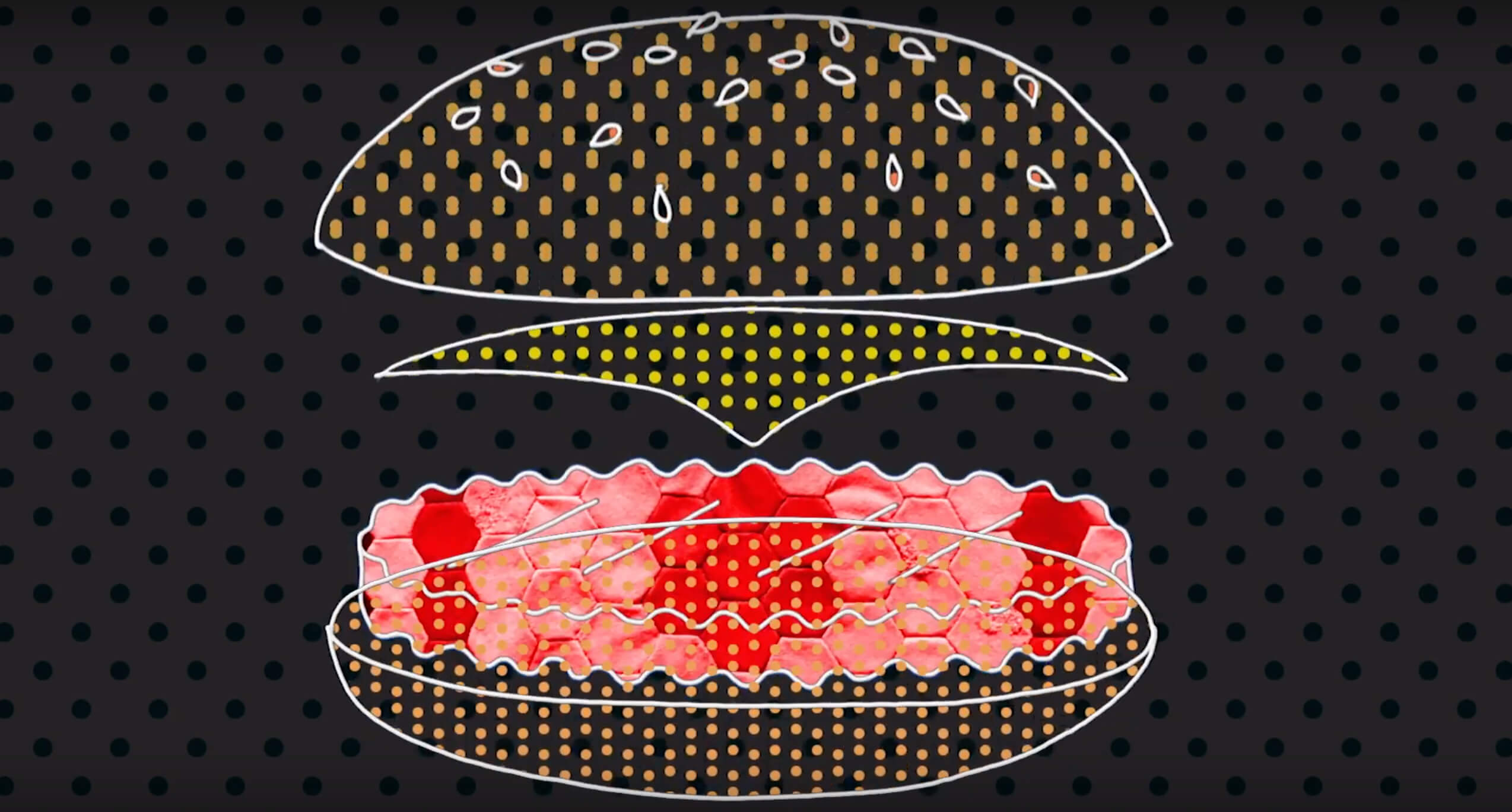 Cell-cultured beef burger (September 2019)