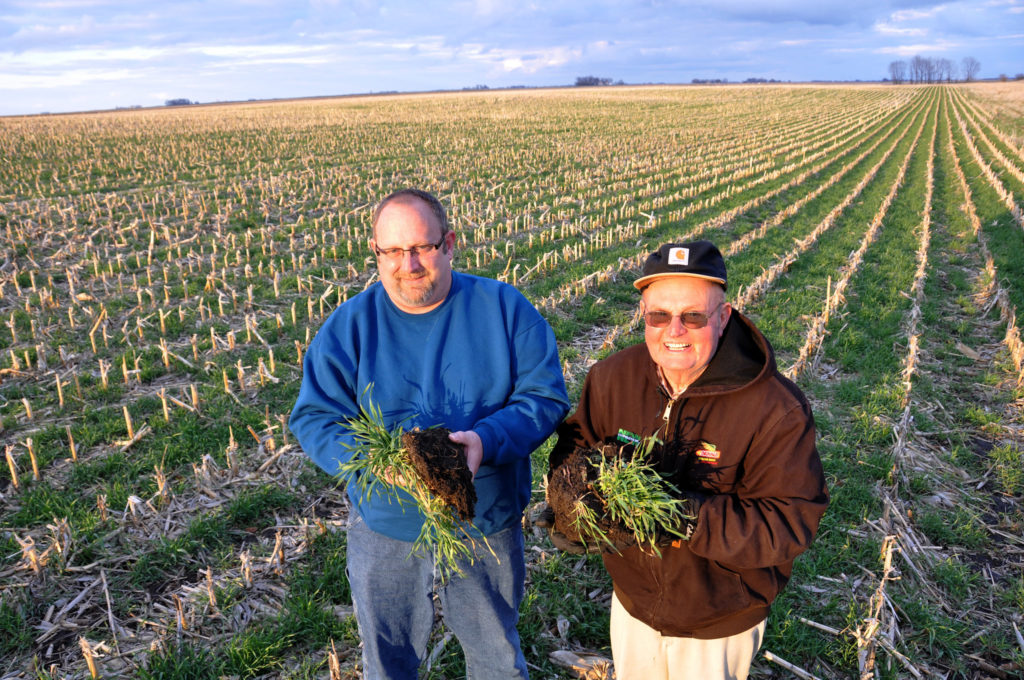 What Happens If We Eliminate Crop Insurance Altogether 