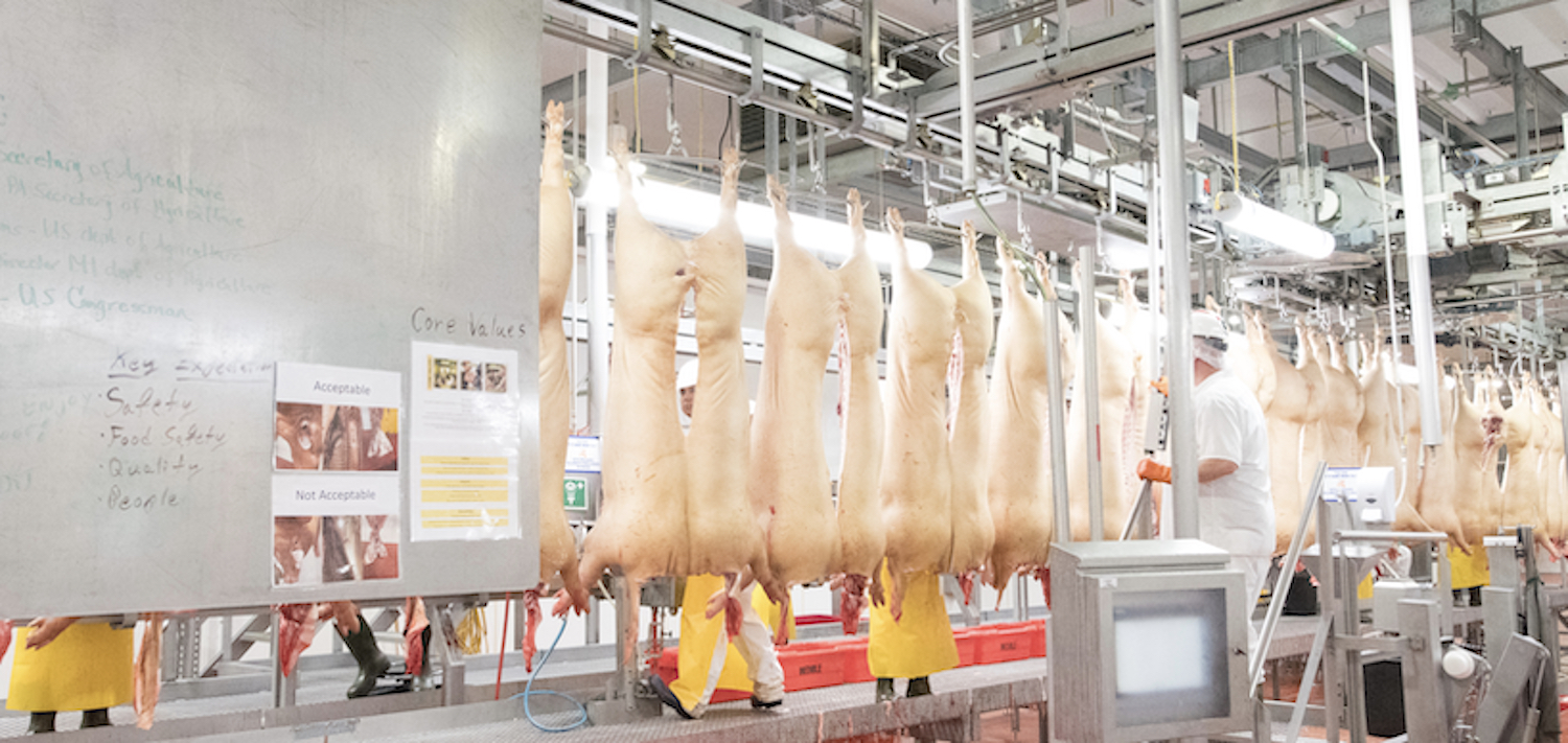 Inspectors monitor pork processing plant