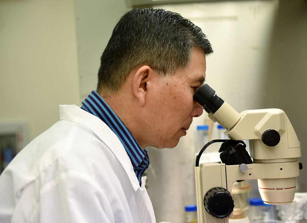 Zhanyuan Zhang looks into microscope