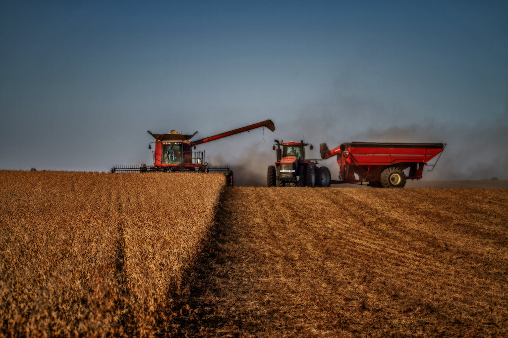Tractors harvesting soy