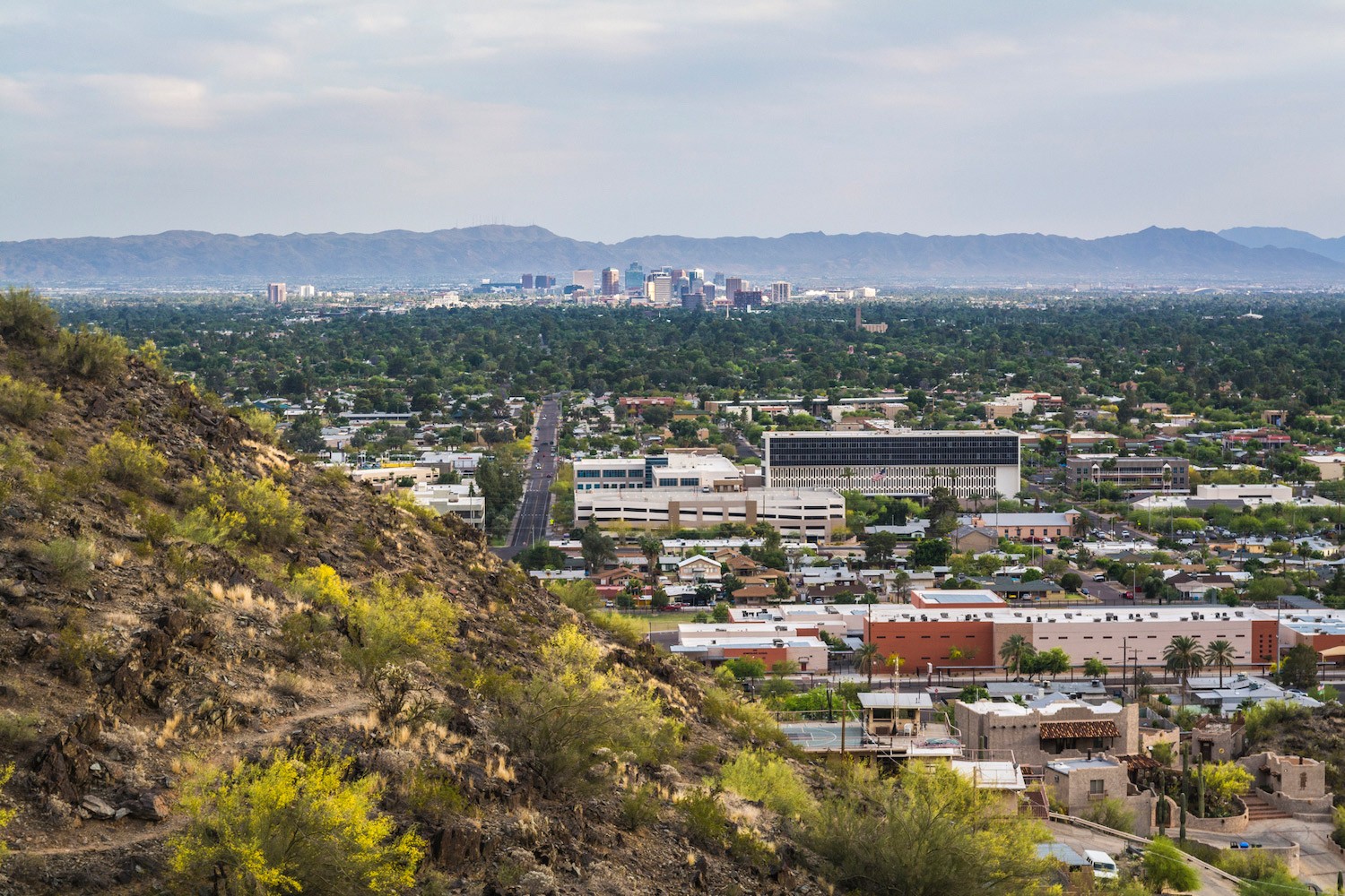Downtown Phoenix viewed from North Mountain Park