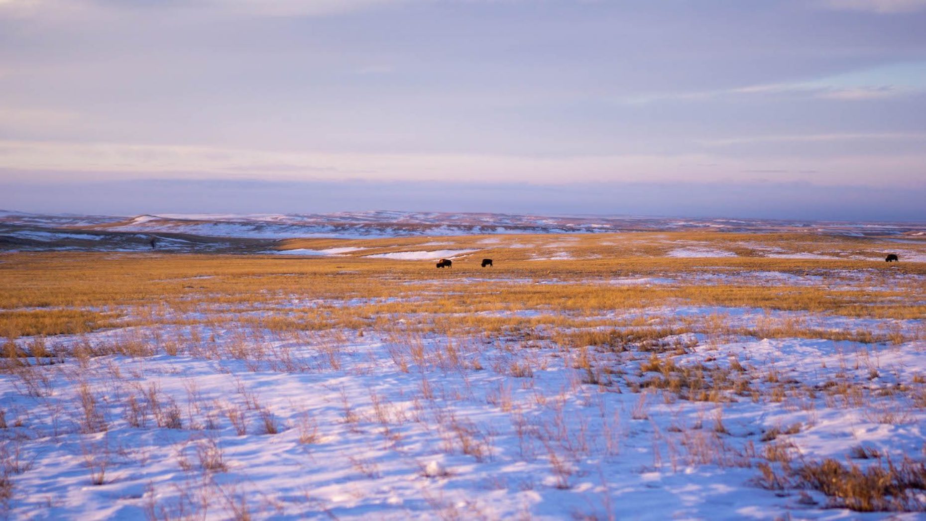 One year after Nativeowned Tanka Bar had lost nearly everything, the