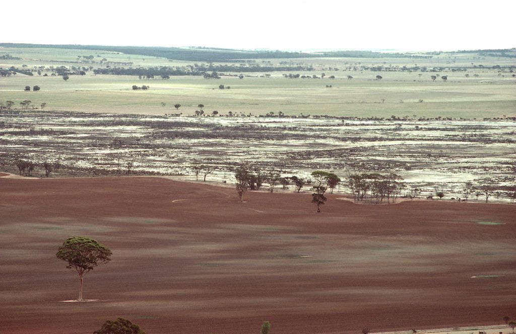 Soil salinization in Western Australia, 1981