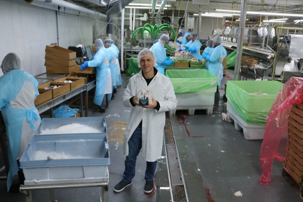 An organic chicken empire is growing—in old barns big poultry companies