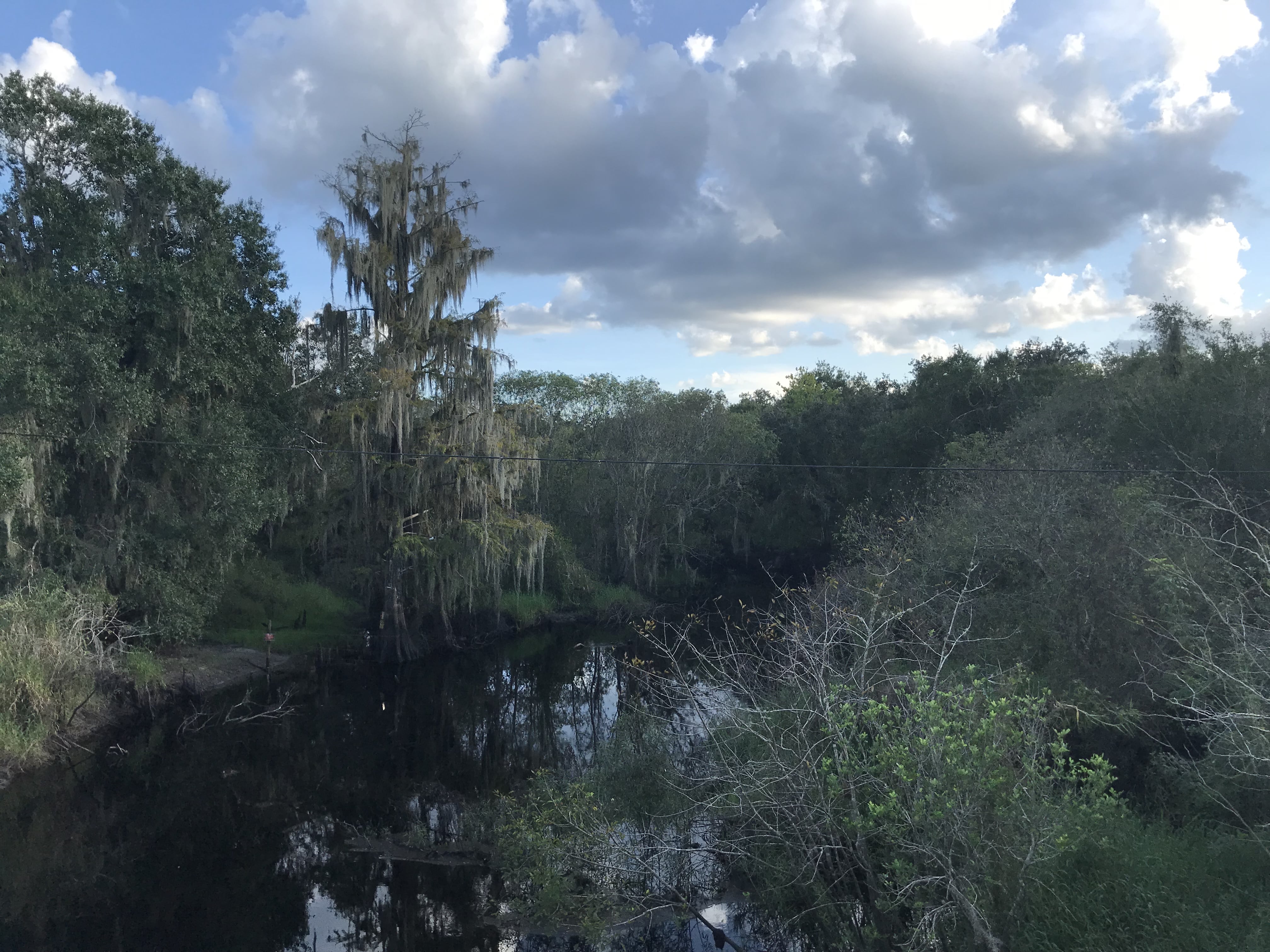 View of the Peace River in the Bone Valley of southwestern Florida (April 2020)