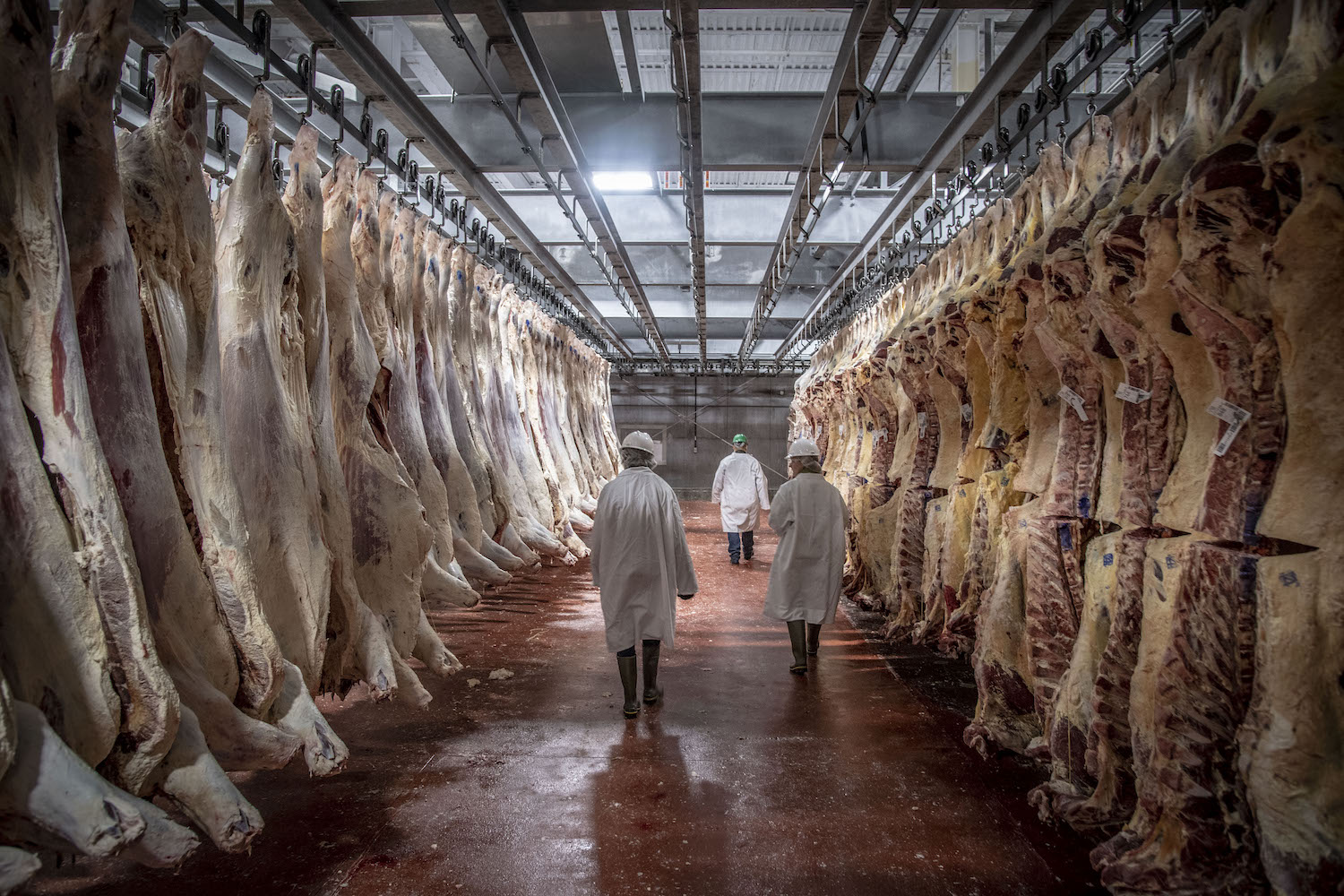Coronavirus meat consumption USDA meat inspector April 2020