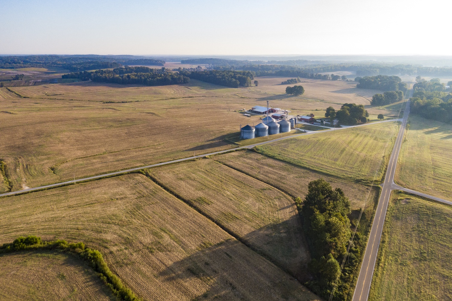 family farms covid-19 relieve carroll county, TN, April 2020