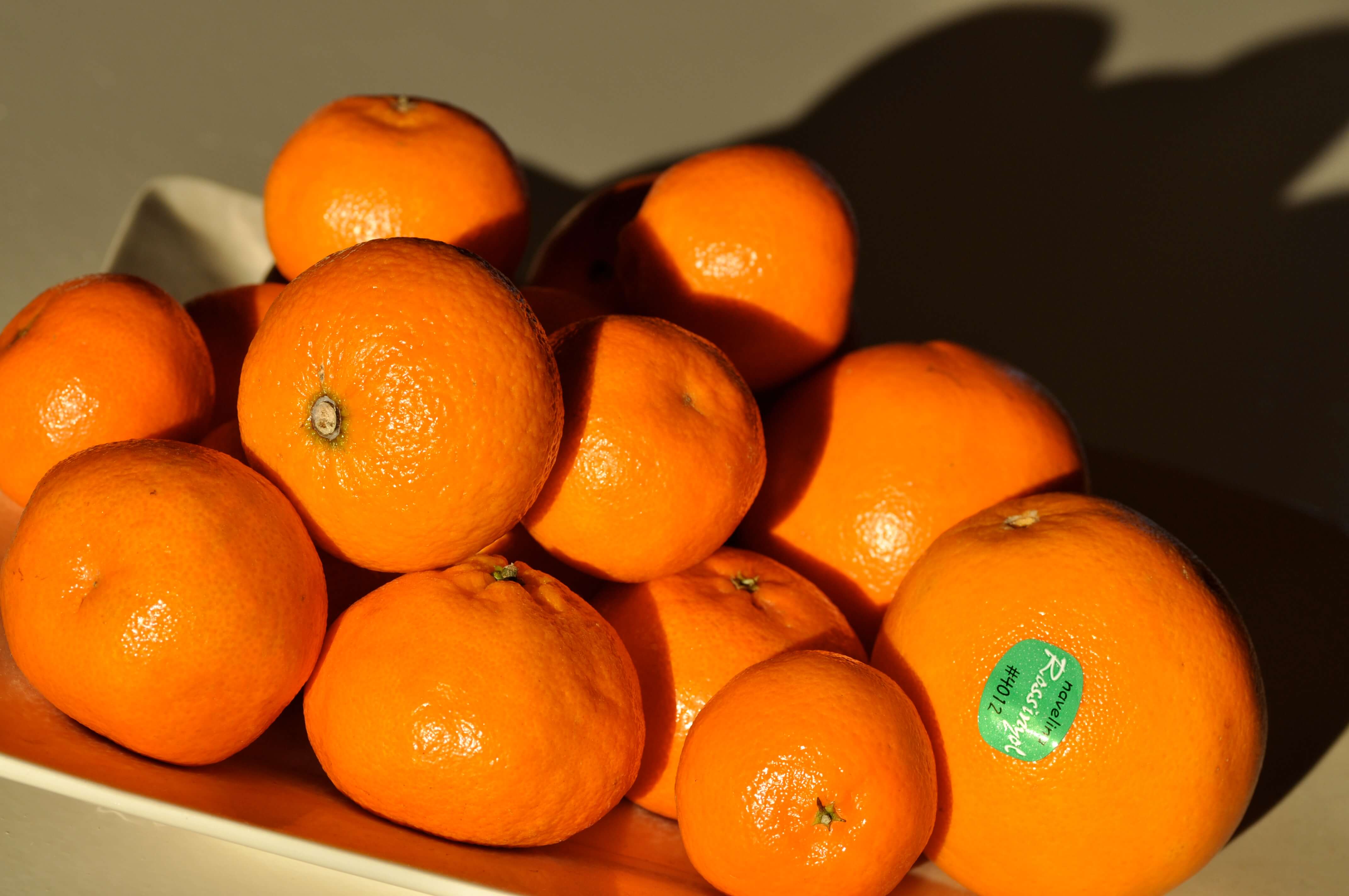A plate of clementines sit on a table in the sun (April 2020)
