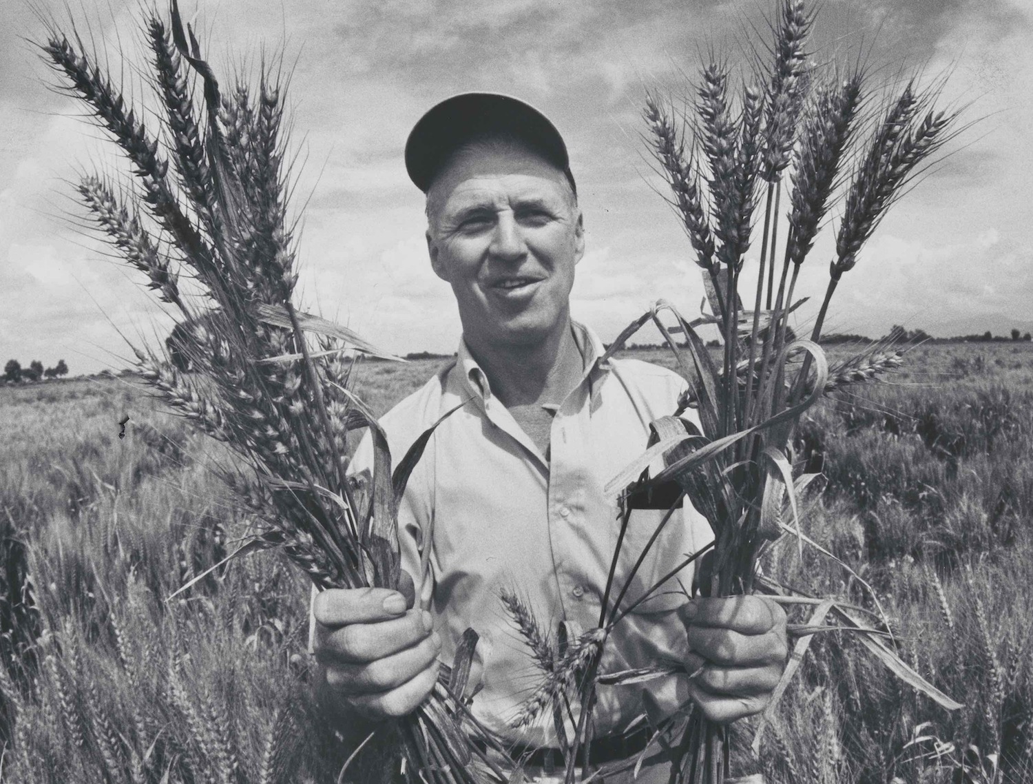 man who tried to feed the world Norman Borlaug with wheat april 21 2020
