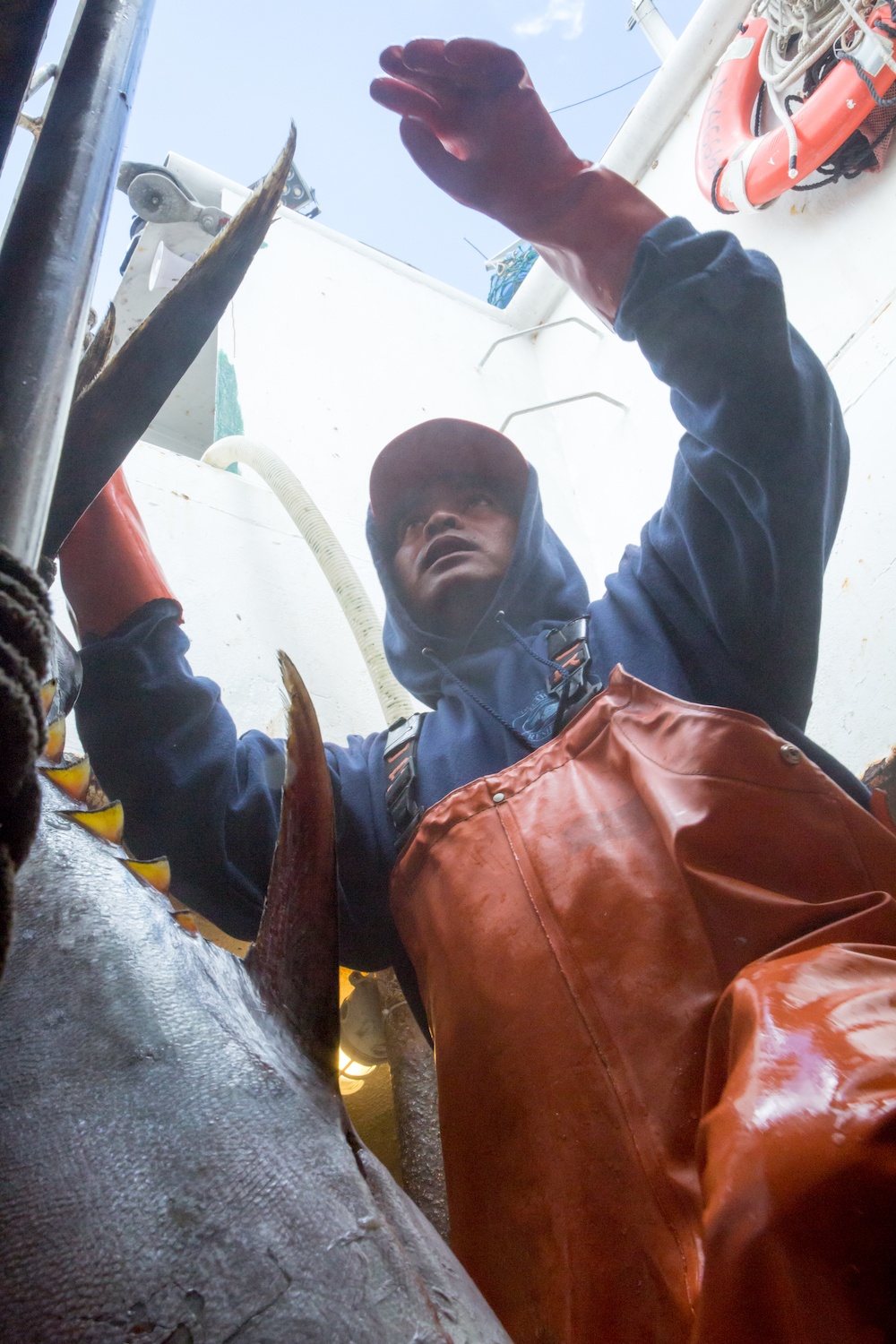 fisherman with hanging tuna in Hawaii April 2020