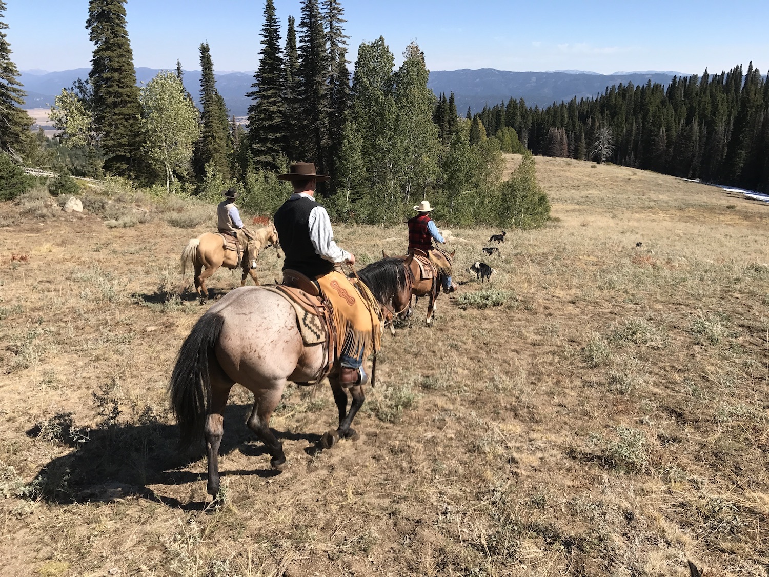 3 people on horseback trailing down side of a hill April 2020